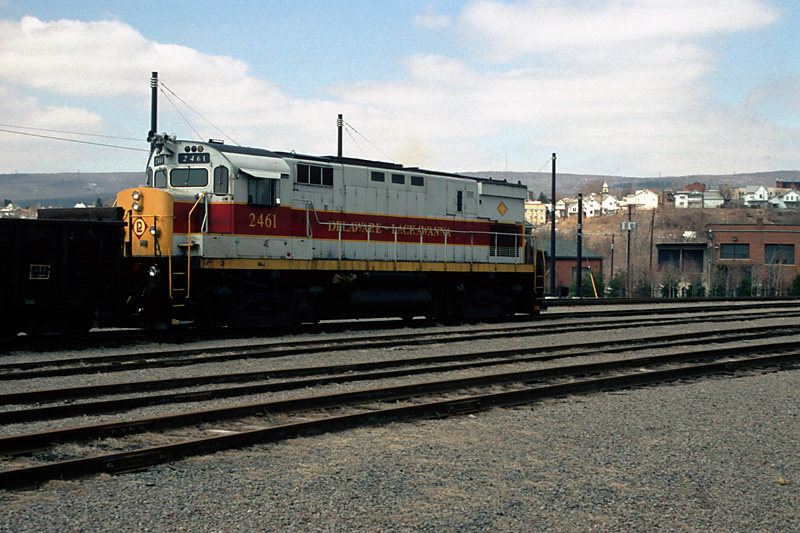 295.jpg